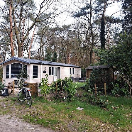 Ruim Chalet, Midden In Het Bos! Нюнспет Экстерьер фото